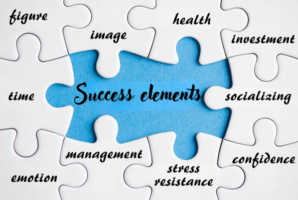 success elements